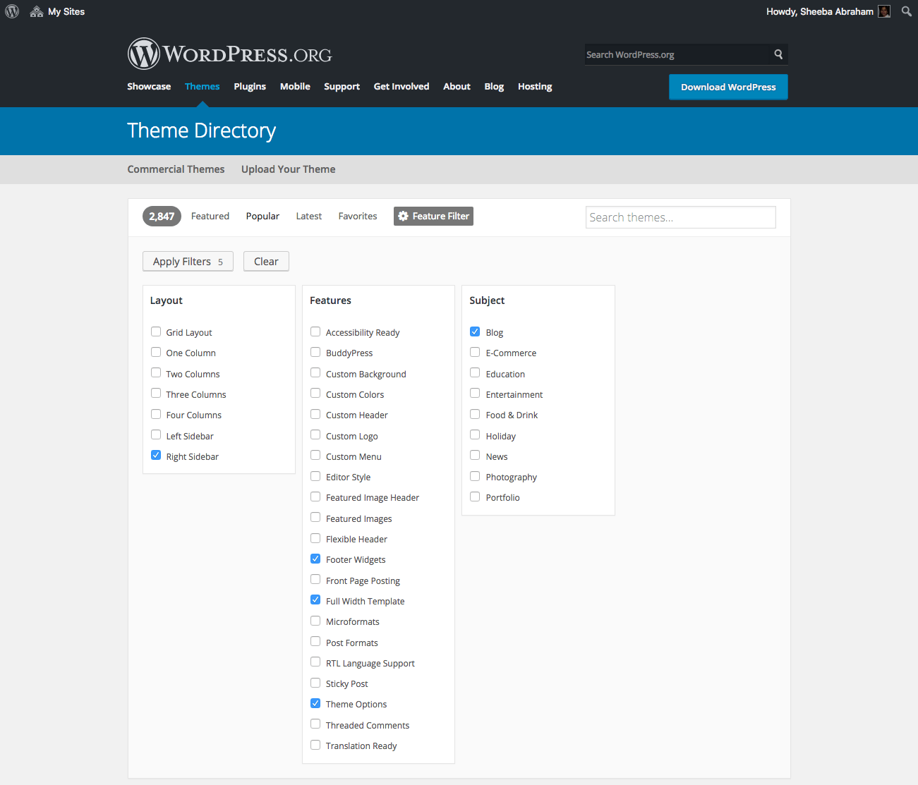 How to choose a WP theme ?